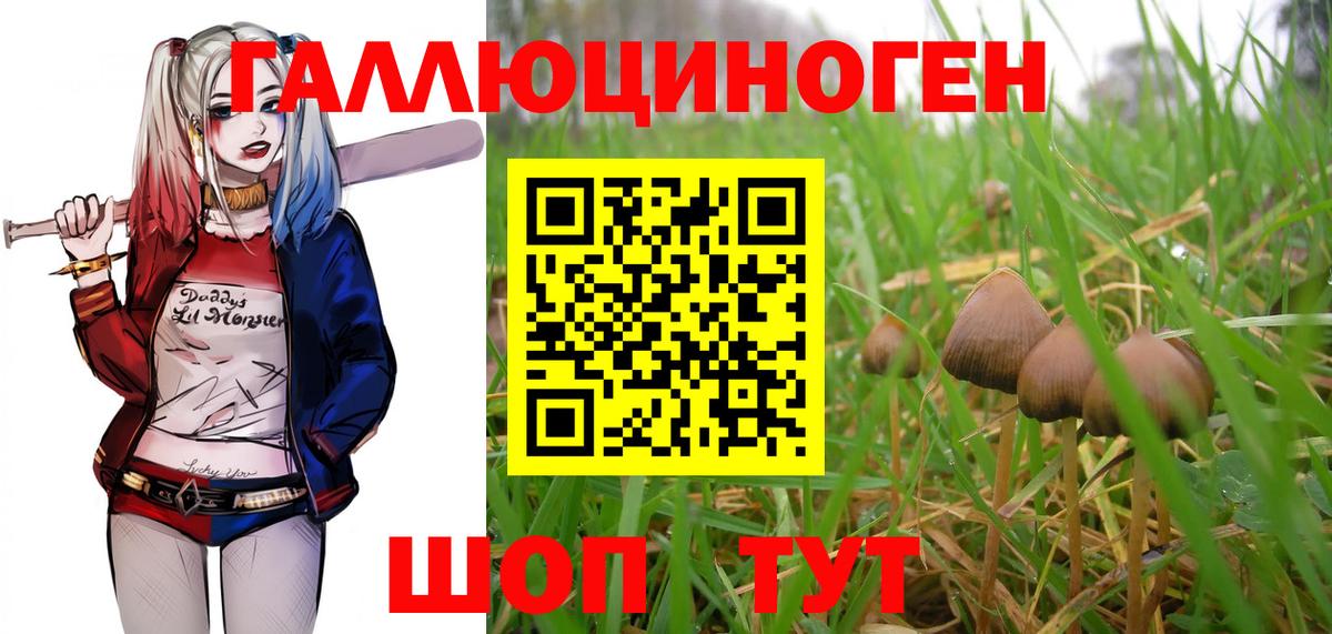 Псилоцибиновые грибы мухоморы  Вход с VPN  Сунжа 